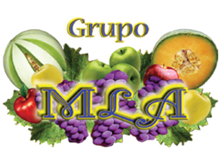 grupo mla logo