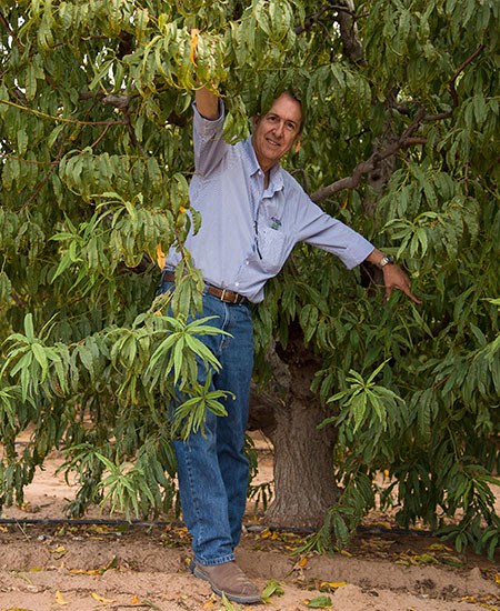 Luis Bórquez director general de agrícola oasis